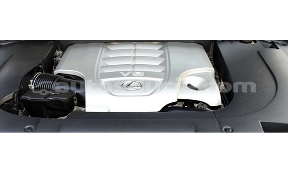 Buy Import Lexus LX White Car in Import - Dubai in Anse-la-Raye Buy Import Lexus LX White Car in Import - Dubai in Anse-la-Raye