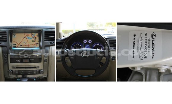 Buy Import Lexus LX White Car in Import - Dubai in Anse-la-Raye Buy Import Lexus LX White Car in Import - Dubai in Anse-la-Raye