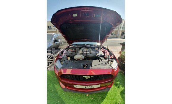 Buy Import Ford Mustang Red Car in Import - Dubai in Anse-la-Raye Buy Import Ford Mustang Red Car in Import - Dubai in Anse-la-Raye