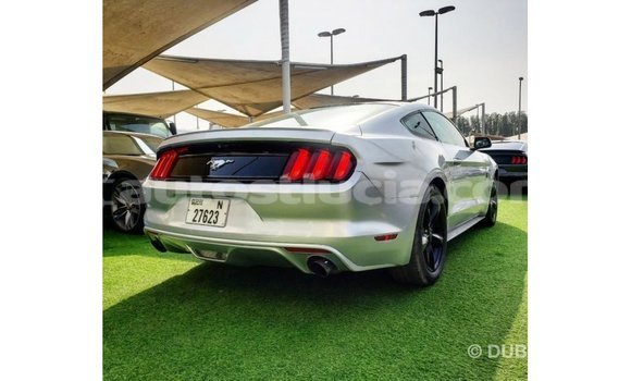 Buy Import Ford Mustang Other Car in Import - Dubai in Anse-la-Raye Buy Import Ford Mustang Other Car in Import - Dubai in Anse-la-Raye