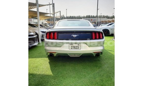 Buy Import Ford Mustang Other Car in Import - Dubai in Anse-la-Raye Buy Import Ford Mustang Other Car in Import - Dubai in Anse-la-Raye