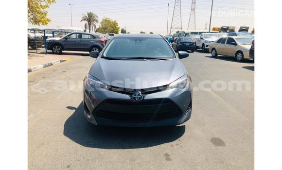 Buy Import Toyota Corolla Other Car in Import - Dubai in Anse-la-Raye Buy Import Toyota Corolla Other Car in Import - Dubai in Anse-la-Raye