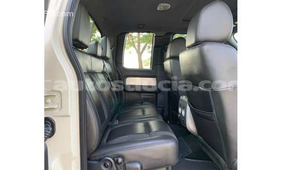 Buy Import Ford Club Wagon Beige Car in Import - Dubai in Anse-la-Raye Buy Import Ford Club Wagon Beige Car in Import - Dubai in Anse-la-Raye