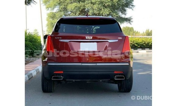 Buy Import Cadillac XT5 Red Car in Import - Dubai in Anse-la-Raye Buy Import Cadillac XT5 Red Car in Import - Dubai in Anse-la-Raye