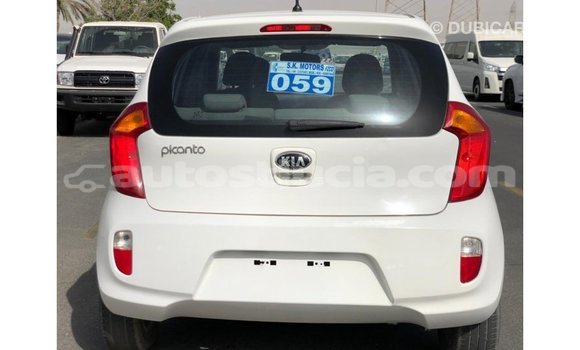 Buy Import Kia Picanto White Car in Import - Dubai in Anse-la-Raye Buy Import Kia Picanto White Car in Import - Dubai in Anse-la-Raye