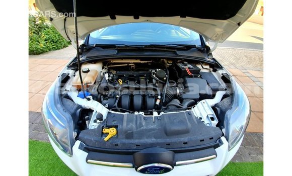 Buy Import Ford Focus White Car in Import - Dubai in Anse-la-Raye Buy Import Ford Focus White Car in Import - Dubai in Anse-la-Raye