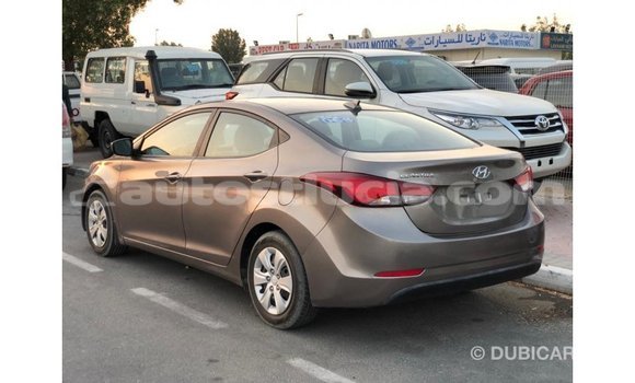 Buy Import Hyundai Elantra Brown Car in Import - Dubai in Anse-la-Raye Buy Import Hyundai Elantra Brown Car in Import - Dubai in Anse-la-Raye