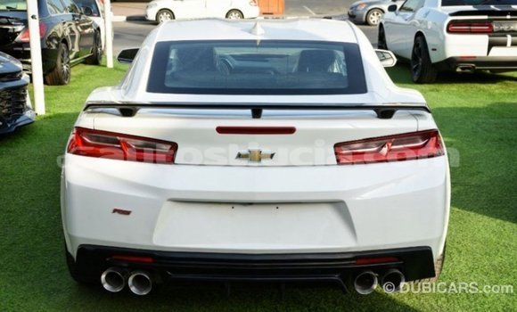 Buy Import Chevrolet Camaro White Car in Import - Dubai in Anse-la-Raye Buy Import Chevrolet Camaro White Car in Import - Dubai in Anse-la-Raye
