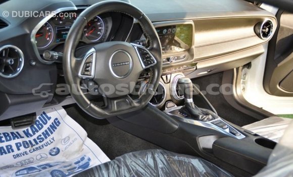 Buy Import Chevrolet Camaro White Car in Import - Dubai in Anse-la-Raye Buy Import Chevrolet Camaro White Car in Import - Dubai in Anse-la-Raye