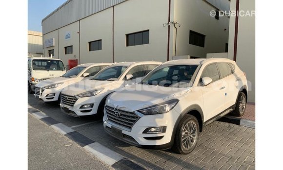Buy Import Hyundai Tucson White Car in Import - Dubai in Anse-la-Raye Buy Import Hyundai Tucson White Car in Import - Dubai in Anse-la-Raye
