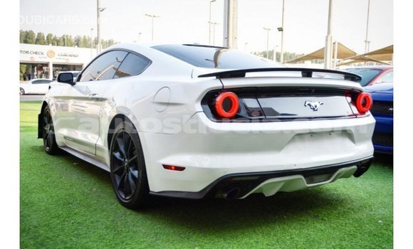 Buy Import Ford Mustang White Car in Import - Dubai in Anse-la-Raye Buy Import Ford Mustang White Car in Import - Dubai in Anse-la-Raye