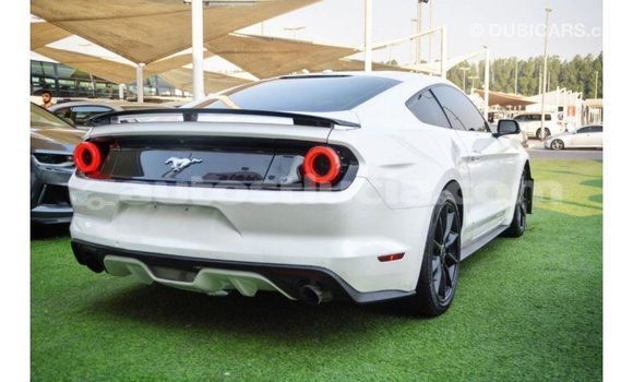 Buy Import Ford Mustang White Car in Import - Dubai in Anse-la-Raye Buy Import Ford Mustang White Car in Import - Dubai in Anse-la-Raye