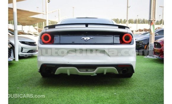 Buy Import Ford Mustang White Car in Import - Dubai in Anse-la-Raye Buy Import Ford Mustang White Car in Import - Dubai in Anse-la-Raye
