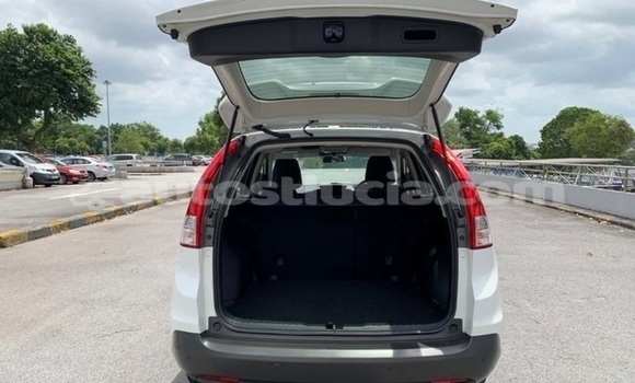 Buy Used Honda CR–V White Car in Castries in Castries Buy Used Honda CR–V White Car in Castries in Castries