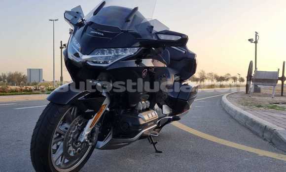 Buy Used Aeon Minikolt Black Bike in Castries in Castries