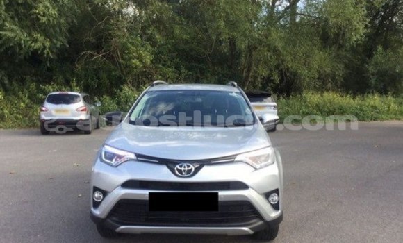Buy Import Toyota RAV4 White Car in Castries in Castries Buy Import Toyota RAV4 White Car in Castries in Castries