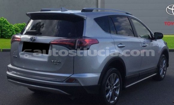 Buy Import Toyota RAV4 White Car in Castries in Castries Buy Import Toyota RAV4 White Car in Castries in Castries