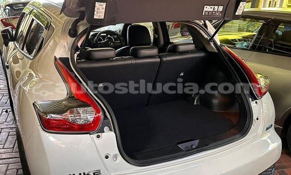 Buy Used Nissan Juke Other Car in Choiseul in Choiseul Buy Used Nissan Juke Other Car in Choiseul in Choiseul