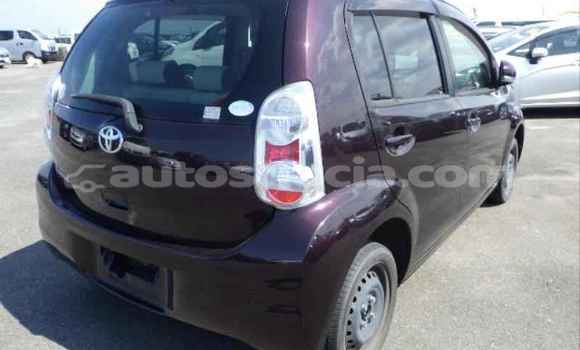 Buy Used Toyota Passo Black Car in Castries in Castries Buy Used Toyota Passo Black Car in Castries in Castries