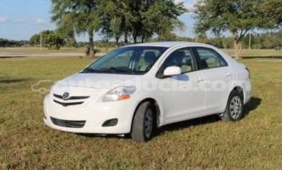 Buy Used Toyota Yaris White Car in Choiseul in Choiseul Buy Used Toyota Yaris White Car in Choiseul in Choiseul