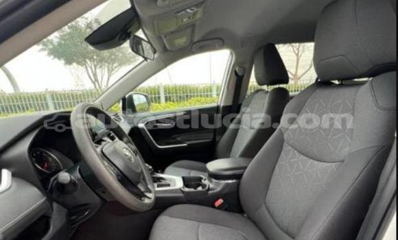 Buy Used Toyota RAV4 White Car in Choiseul in Choiseul Buy Used Toyota RAV4 White Car in Choiseul in Choiseul