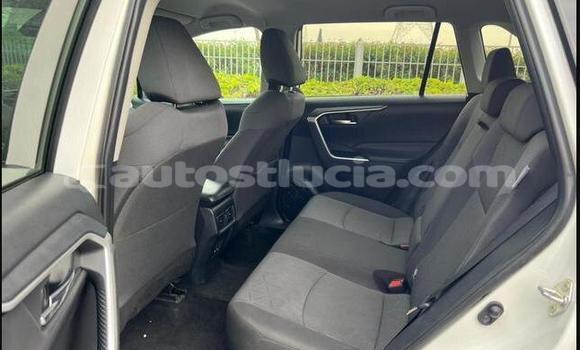 Buy Used Toyota RAV4 White Car in Choiseul in Choiseul Buy Used Toyota RAV4 White Car in Choiseul in Choiseul