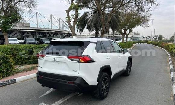 Buy Used Toyota RAV4 White Car in Choiseul in Choiseul Buy Used Toyota RAV4 White Car in Choiseul in Choiseul