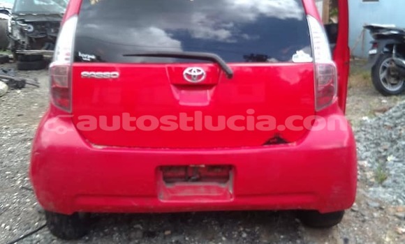 Buy Used Toyota Passo Red Car in Castries in Castries Buy Used Toyota Passo Red Car in Castries in Castries