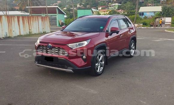 Buy Used Toyota RAV4 Red Car in Choc in Castries
