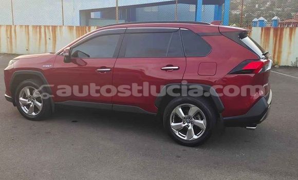 Buy Used Toyota RAV4 Red Car in Choc in Castries Buy Used Toyota RAV4 Red Car in Choc in Castries