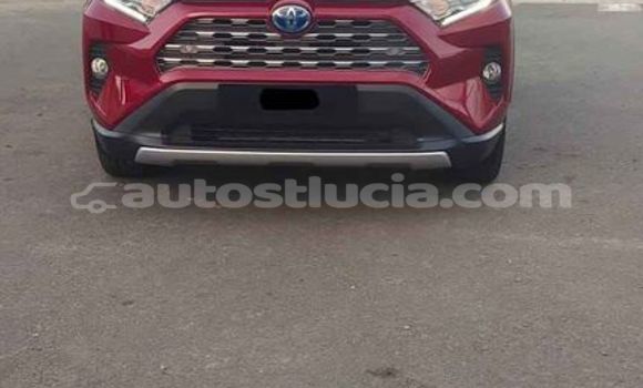 Buy Used Toyota RAV4 Red Car in Choc in Castries Buy Used Toyota RAV4 Red Car in Choc in Castries