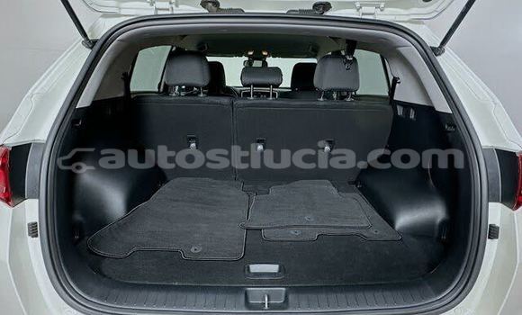 Buy Used Kia Sportage White Car in Anse-la-Raye in Anse-la-Raye Buy Used Kia Sportage White Car in Anse-la-Raye in Anse-la-Raye