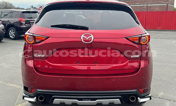 Buy Used Mazda CX-5 Red Car in Castries in Castries Buy Used Mazda CX-5 Red Car in Castries in Castries