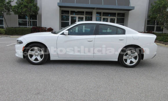 Buy Used Dodge Charger White Car in Castries in Castries Buy Used Dodge Charger White Car in Castries in Castries