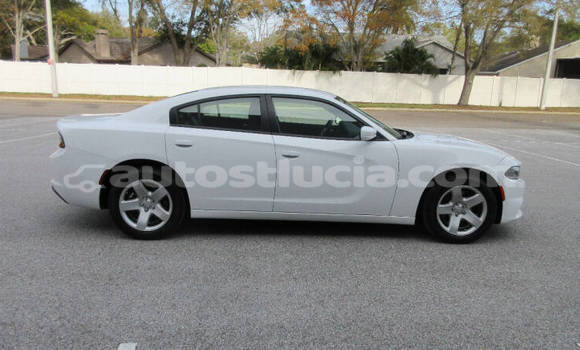 Buy Used Dodge Charger White Car in Castries in Castries Buy Used Dodge Charger White Car in Castries in Castries