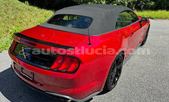 Buy Used Ford Mustang Red Car in Castries in Castries Buy Used Ford Mustang Red Car in Castries in Castries