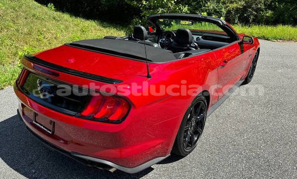 Buy Used Ford Mustang Red Car in Castries in Castries Buy Used Ford Mustang Red Car in Castries in Castries
