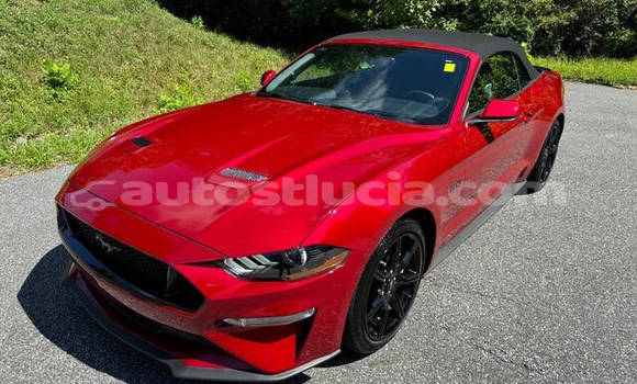 Buy Used Ford Mustang Red Car in Castries in Castries Buy Used Ford Mustang Red Car in Castries in Castries