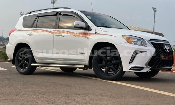 Buy Used Toyota RAV4 White Car in Castries in Castries Buy Used Toyota RAV4 White Car in Castries in Castries