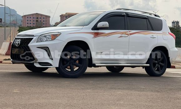 Buy Used Toyota RAV4 White Car in Castries in Castries Buy Used Toyota RAV4 White Car in Castries in Castries