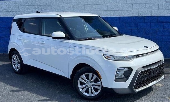 Buy Used Kia Soul White Car in Castries in Castries