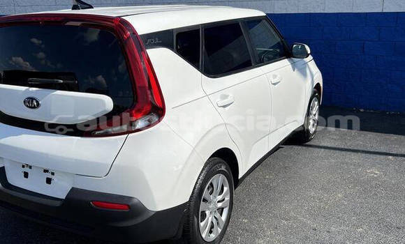Buy Used Kia Soul White Car in Castries in Castries Buy Used Kia Soul White Car in Castries in Castries