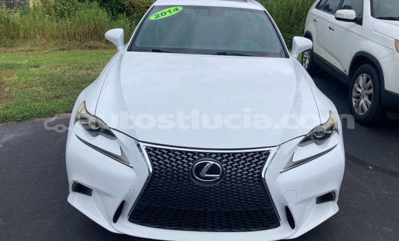 Buy Used Lexus IS 300 White Car in Castries in Castries Buy Used Lexus IS 300 White Car in Castries in Castries