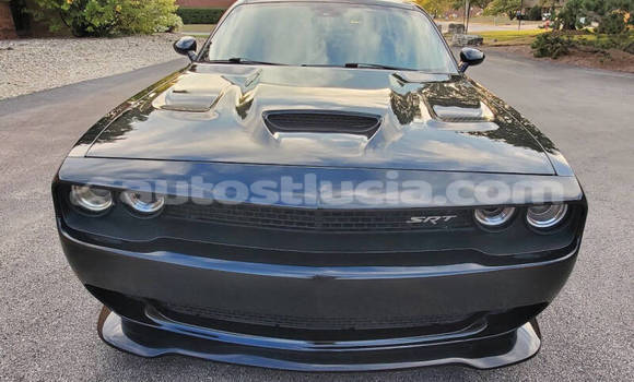 Buy Used Dodge Challenger Black Car in Castries in Castries Buy Used Dodge Challenger Black Car in Castries in Castries