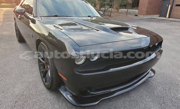 Buy Used Dodge Challenger Black Car in Castries in Castries Buy Used Dodge Challenger Black Car in Castries in Castries