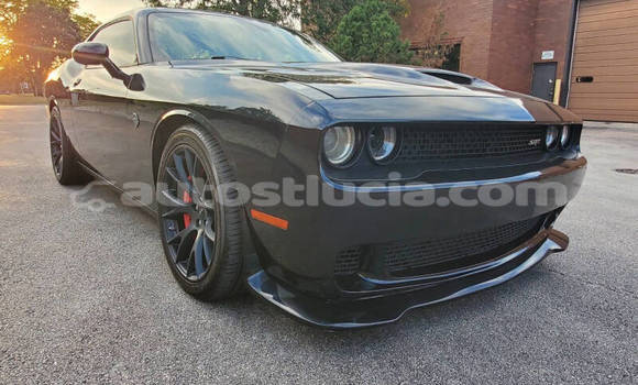Buy Used Dodge Challenger Black Car in Castries in Castries Buy Used Dodge Challenger Black Car in Castries in Castries