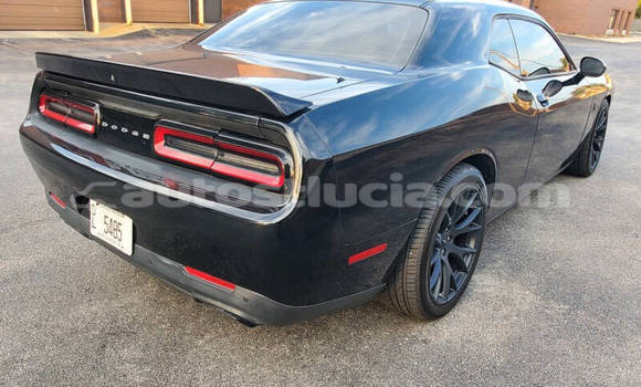 Buy Used Dodge Challenger Black Car in Castries in Castries Buy Used Dodge Challenger Black Car in Castries in Castries