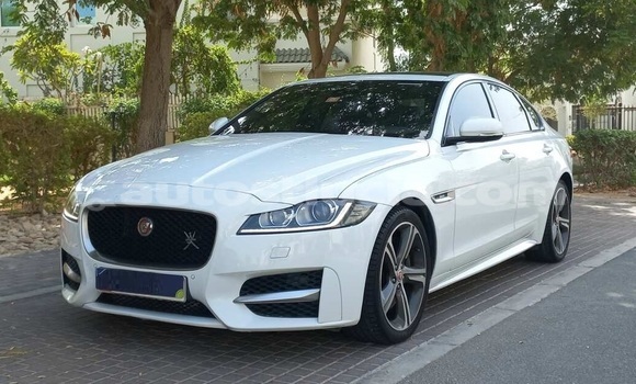 Buy Used Jaguar XF White Car in Castries in Castries