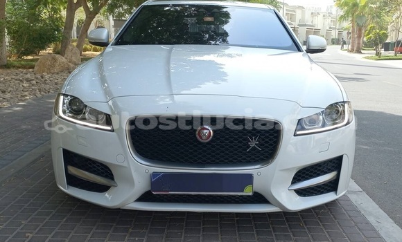 Acheter Occasion Voiture Jaguar XF Blanc à Castries, Castries Acheter Occasion Voiture Jaguar XF Blanc à Castries, Castries