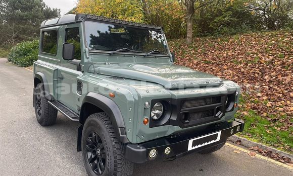 Acheter Occasion Voiture Land Rover Defender Vert à Castries, Castries